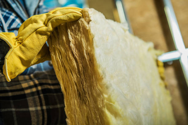 Best Insulation Maintenance and Repair in Leonville, LA