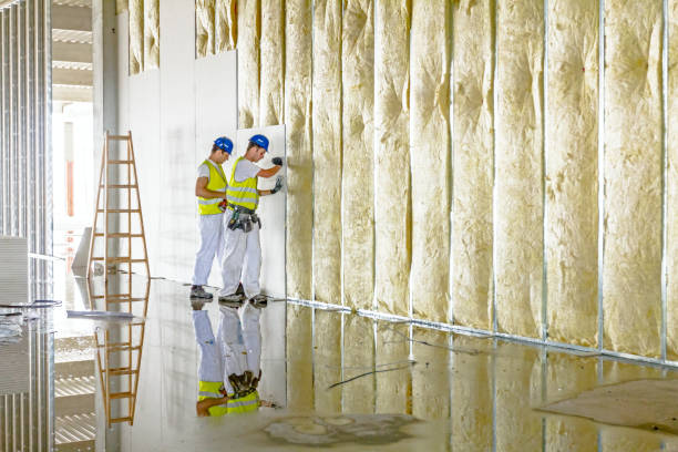 Types of Insulation We Offer in Leonville, LA